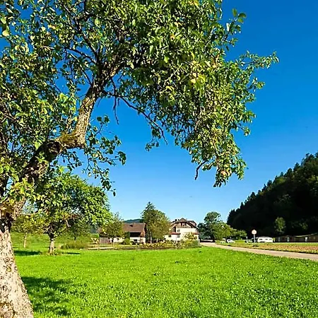 Отель Landgasthof Kinzigstrand Биберах