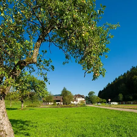 Hotel Landgasthof Kinzigstrand *