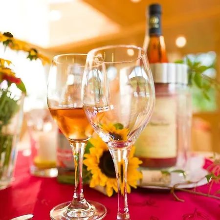 Hotel Landgasthof Kinzigstrand *